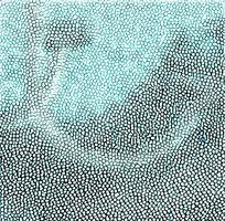 ��ɫƤ��ߵ�����ͼ