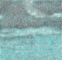 ��ɫƤ��ߵ�����ͼ