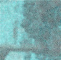 ��ɫƤ��ߵ�����ͼ