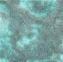 ��ɫƤ�������ߵ�ͼ