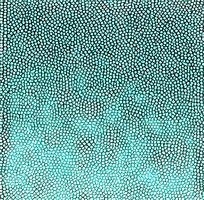 ��ɫƤ�������ߵ�ͼ