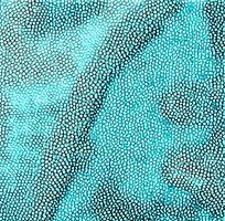 ��ɫƤ�������ߵ�ͼ