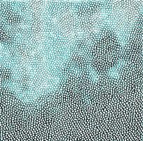 ��ɫƤ�������ߵ�ͼ