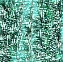 ��ɫƤ�������ߵ�ͼ