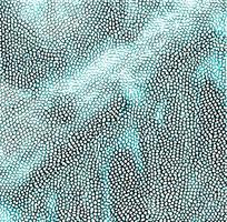 ��ɫƤ�������ߵ�ͼ