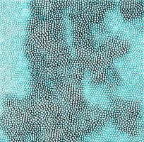 ��ɫƤ�������ߵ�ͼ