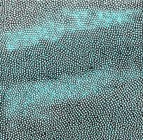 ��ɫƤ�������ߵ�ͼ