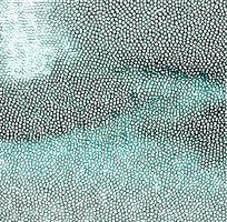 ��ɫƤ�������ߵ�ͼ