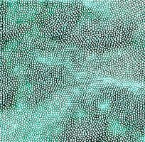 ��ɫƤ�������ߵ�ͼ