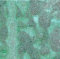 ��ɫƤ�������ߵ�ͼ