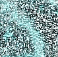 ��ɫƤ�������߿�ͼ