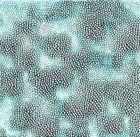 ��ɫƤ�������߿�ͼ