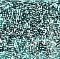 ��ɫƤ�������߿�ͼ