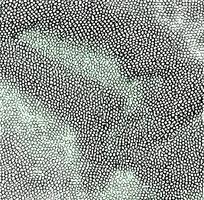 ��ɫƤ�������߿�ͼ