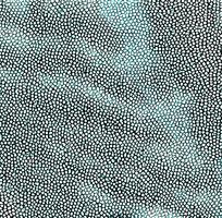 ��ɫƤ�������߿�ͼ