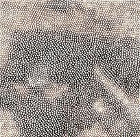 ǳ��ɫƤ��ߵ�ͼ