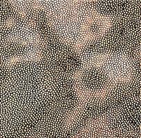 ���ɫƤ�������ߵ�ͼ