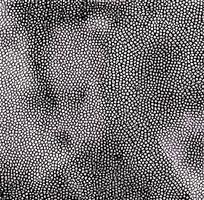 ���ɫƤ��ߵ�ͼ