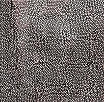 ���ɫƤ�������ߵ�ͼ