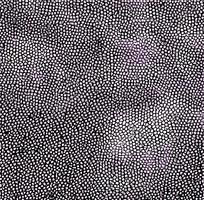 ���ɫƤ�������ߵ�ͼ