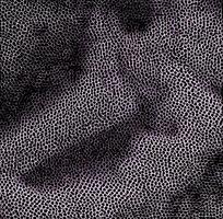 ���ɫƤ�������߿�ͼ