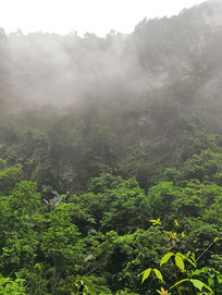 ͨ������ɽ�з��