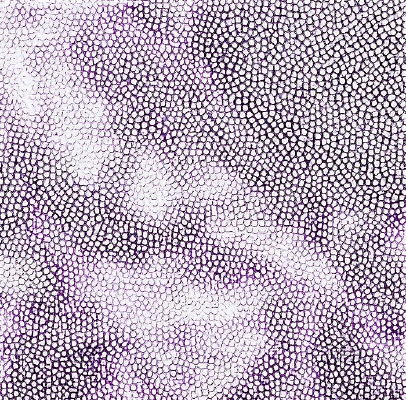 ��ɫƤ��ߵ�ͼ