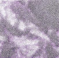 ��ɫƤ��ߵ�ͼ