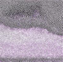 ��ɫƤ�������ߵ�ͼ