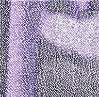 ��ɫƤ�������ߵ�ͼ