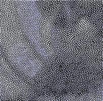 ��ɫƤ�������߿�ͼ