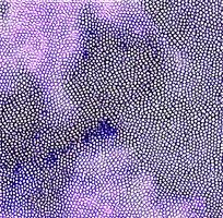 ��ɫƤ�������߿�ͼ