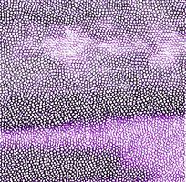 ��ɫƤ�������߿�ͼ