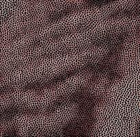 ��ɫƤ�������߿�ͼ