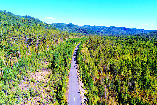 ���˰����ֺ���· 