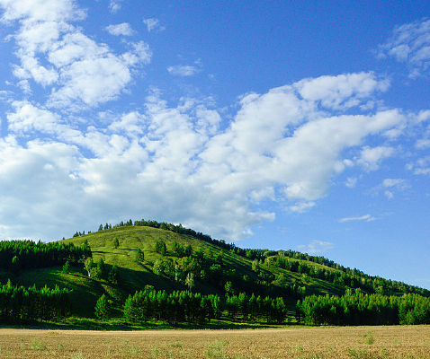 ��ɽ����