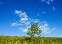 ����С��