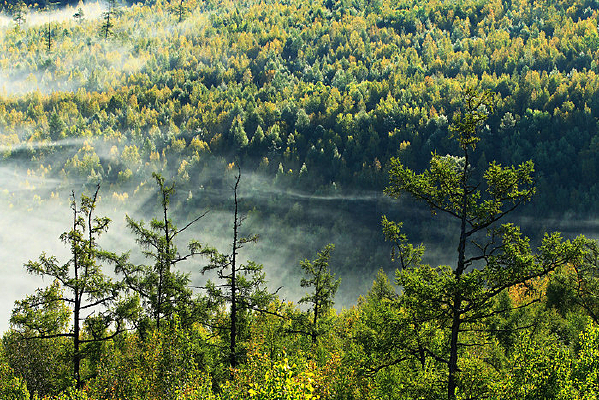 �＾�ֺ������羰