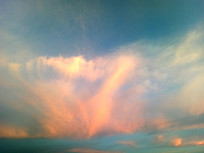 �ƻ�����