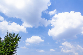 �����µ��Ʋ�