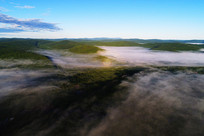 ��ɫ�ֺ��������������ģ�