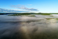 ɭ�����������ģ�