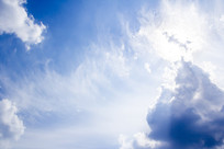 ͸���Ʋ������