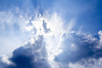 �ƺ������