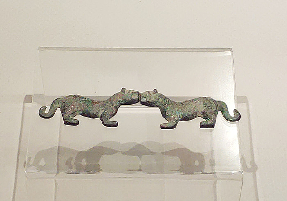 ����ͭ�񻢷�