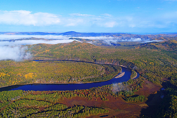 ���˰���ԭʼɭ�ֺ��������ģ�