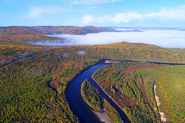 ԭʼɭ�ֺӽ�ɫ���֣����ģ�