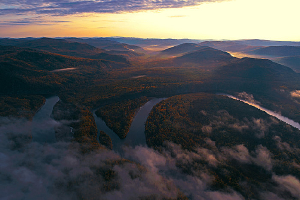 ԭʼɭ�ֺ��������ƺ������ģ�