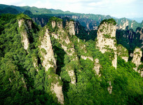 �żҽ絤ϼ��ò�羰ͼ