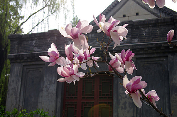 ������ѧ������